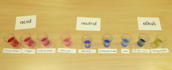 Test pH levels with red - Discovery
